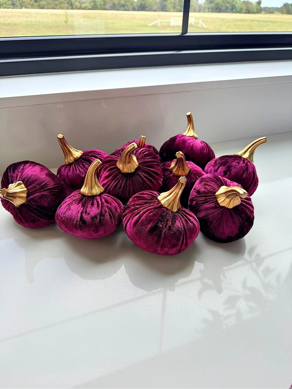 Hobby Lobby Velvet Pumpkin Decor Set in Burgundy & Gold